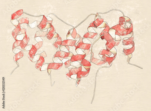 Foto Interferon gamma (IFNg) cytokine molecule, 3D rendering.