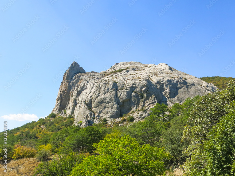 Rock in forest on blue sky background