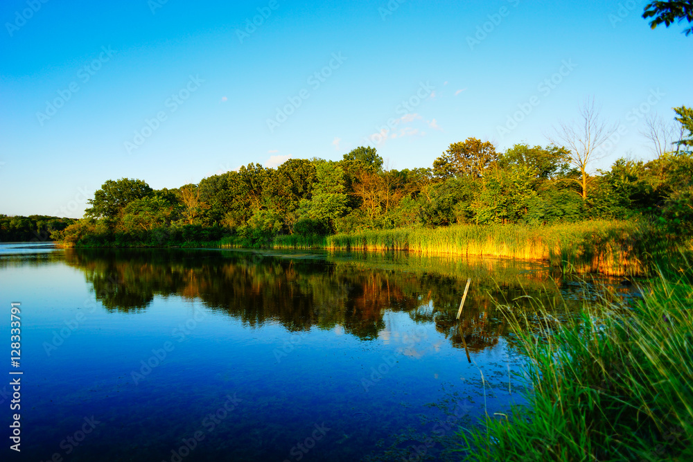 Nature Nature
