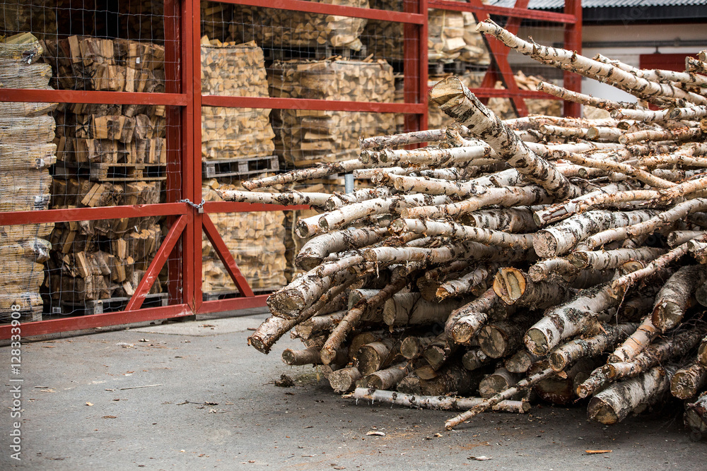 timber harvesting in the countryside in a small factory. The trunks of old trees sawed and packaged. Production of wood for fireplaces.