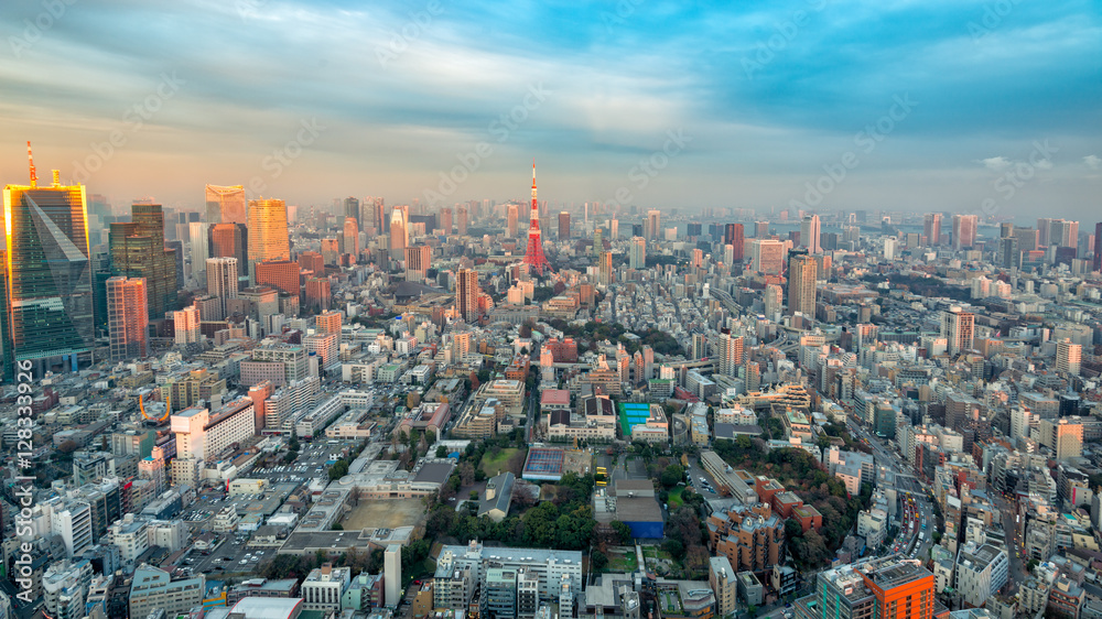 Tokyo Tower and Tokyo Cityscape