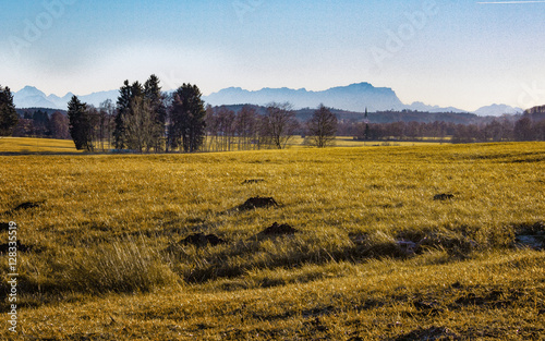 Am Maisinger See im Winter  Wiese mit Zugspitze