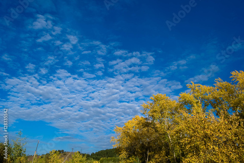 Obraz na płótnie Autumn sky colors with golden trees crowns w salonie