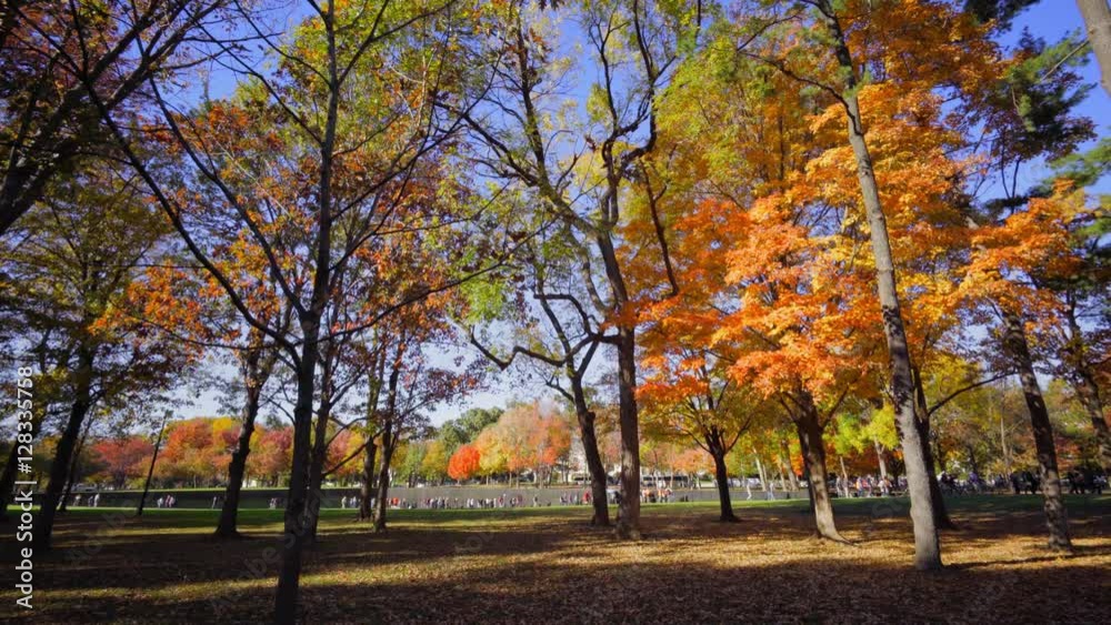 video shot in washington dc constitution gardens fall