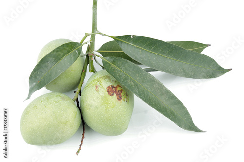 green mango on white background