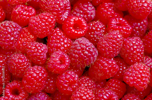 A beautiful selection of freshly picked ripe red raspberries.