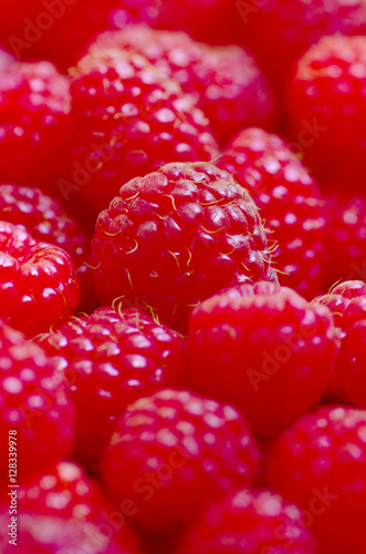 raspberry background