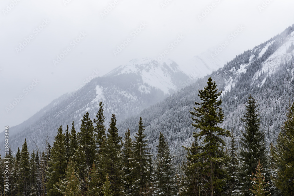 winter in the mountains