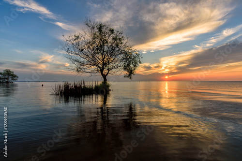Lamphu tree on the water, Phatthalung Province © Southtownboy Studio
