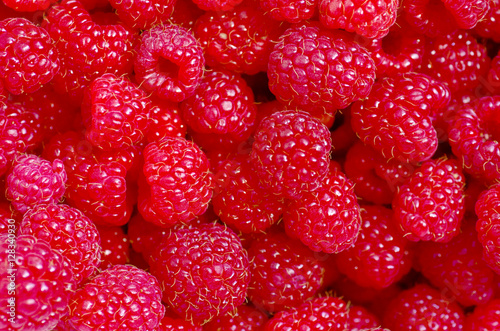 A beautiful selection of freshly picked ripe red raspberries.