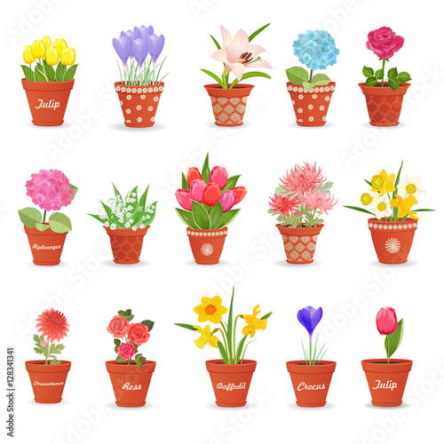 romantic collection of cute flowerpots with flowers for your des