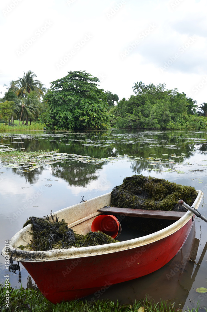 Obraz premium Red boat in Singapore Botanic Garden