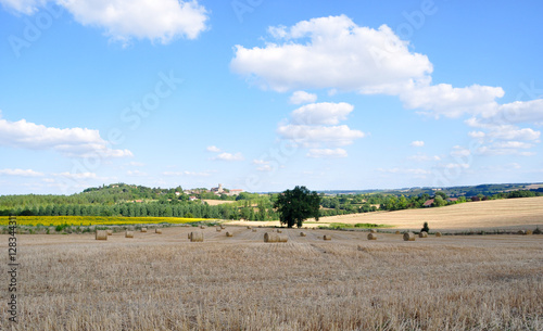 Gers landscape