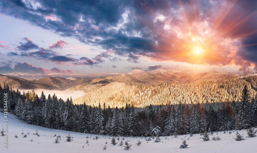 Panoramic of majestic sunrise in the winter mountains. Dramatic morning sky. View of snow-covered trees and hills at distance. Panoramic of majestic sunrise in the winter mountains. Dramatic morning sky. View of snow-covered trees and hills at distance.