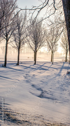 Great nice cozy winter landscape in the Netherlands photo