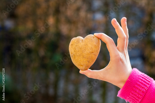 Potato shaped heart in the female hands
