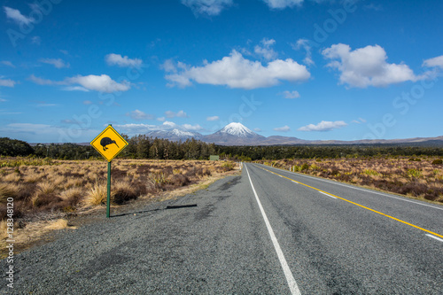 Road to Tongariro National Park, with Kiwi sign, New Zealand