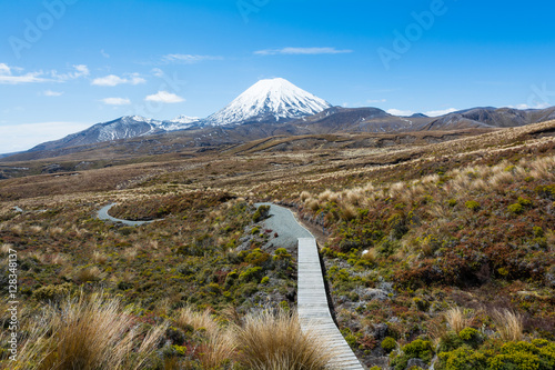 Path to Mount Ruapehu and Tama Lakes, Tongariro National Park, New Zealand