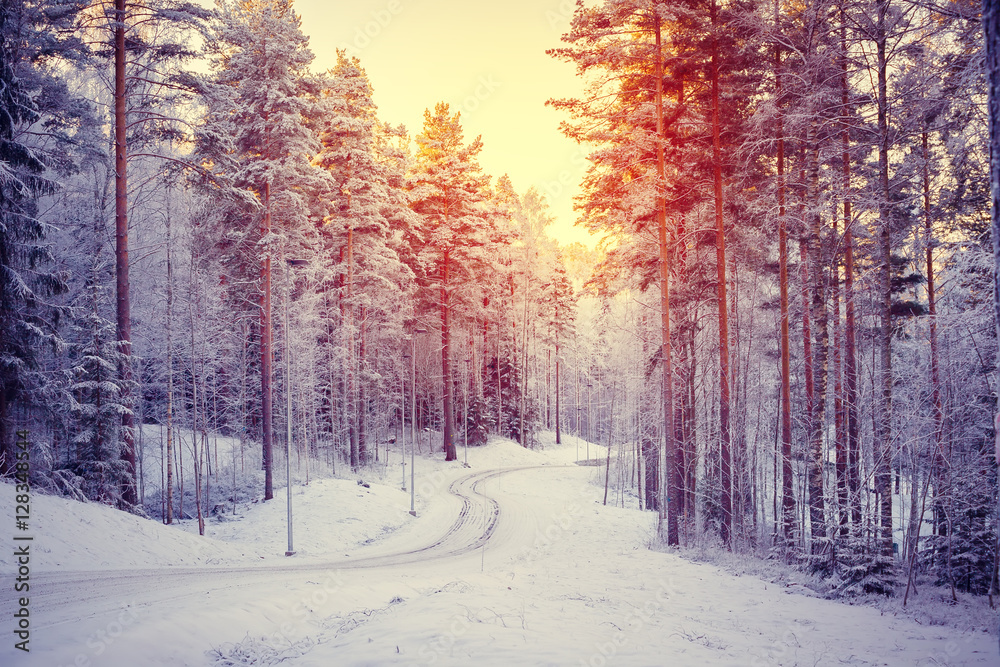 Fototapeta premium Sunrise in snowy forest