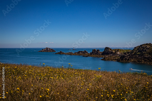 Meer und Blumen in Frankreich