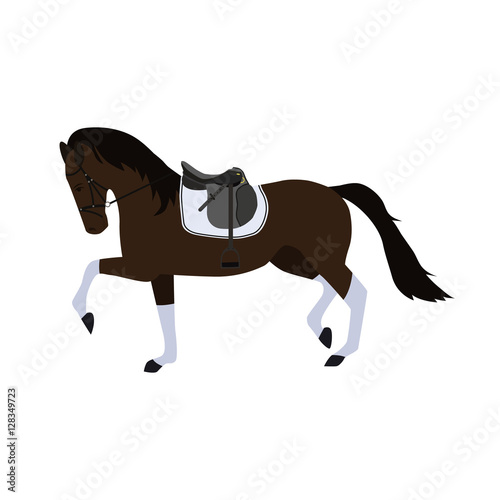 horse flat icon