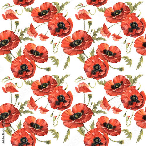 Wildflower poppy flower pattern in a watercolor style isolated. © yanushkov