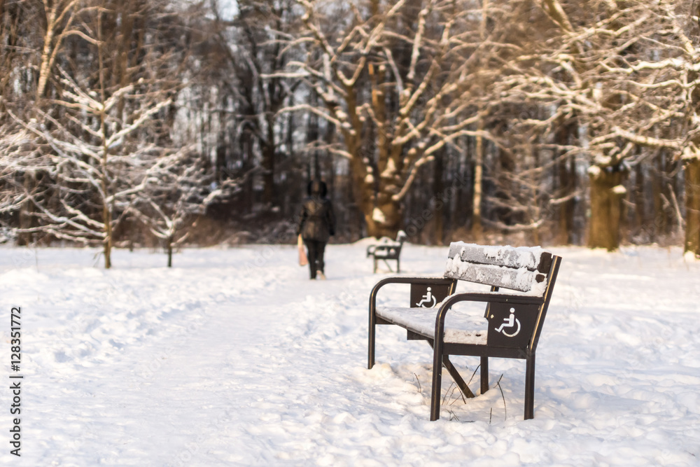 Winter 2013-2014. November 5, 2014. Russia. Moscow. Walkway with benches in winter Park. Day.