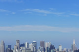 東京都市風景　昼　新宿高層ビル群　青空　大空　コピースペース