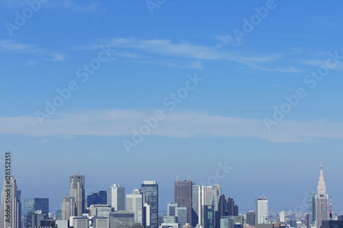 東京都市風景 昼 新宿高層ビル群 青空 大空 コピースペース