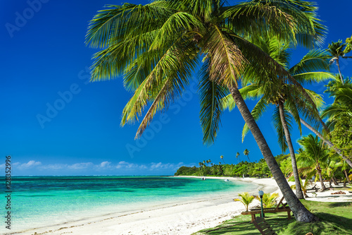 Palm trees on a white sandy beach at Plantation Island, Fiji