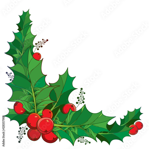 Vector twig with outline green leaves and red berries of Ilex or European Holly isolated on white background. Traditional Christmas symbol in contour style for winter design. Corner composition.