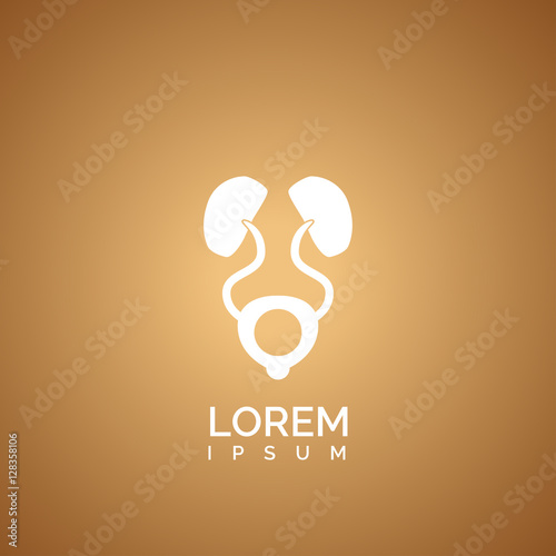 kidneys icon design