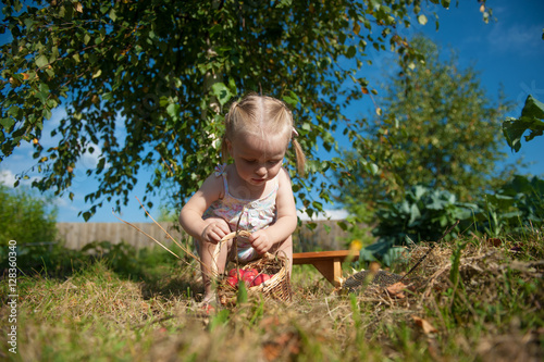 The child collects in the garden of apples   © orlovphoto