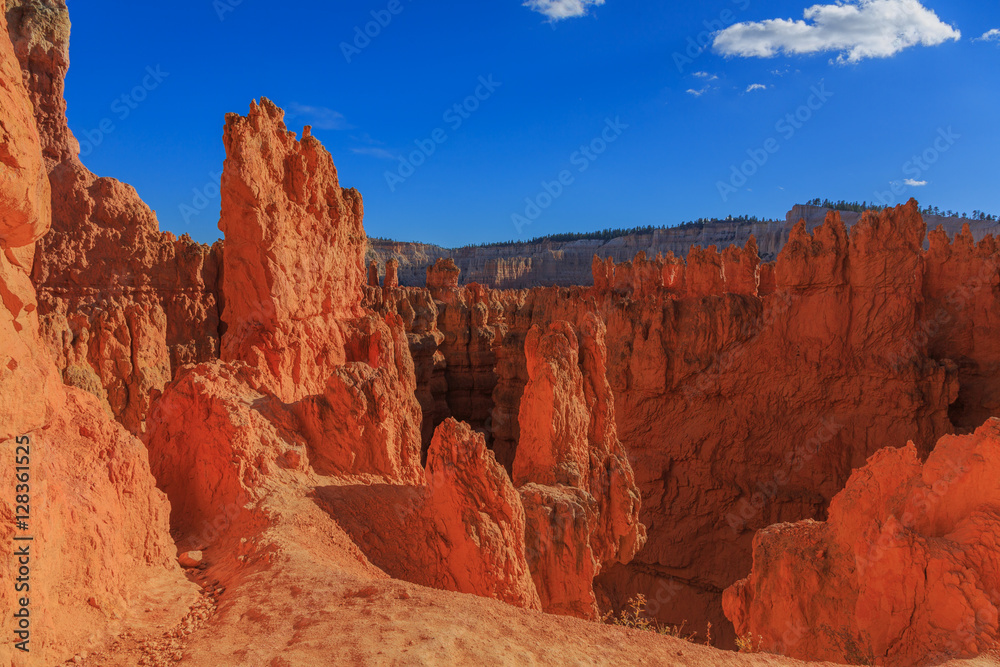 Amazing scenic view of the hoodoos. Bryce Canyon National Park,