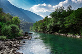 Mountain clear river and green forest, nature landscape
