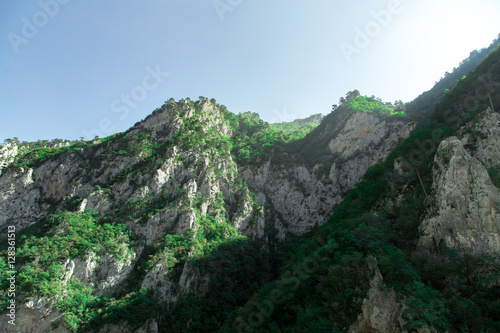 Beautiful nature landscape, rocks mountains with green forest