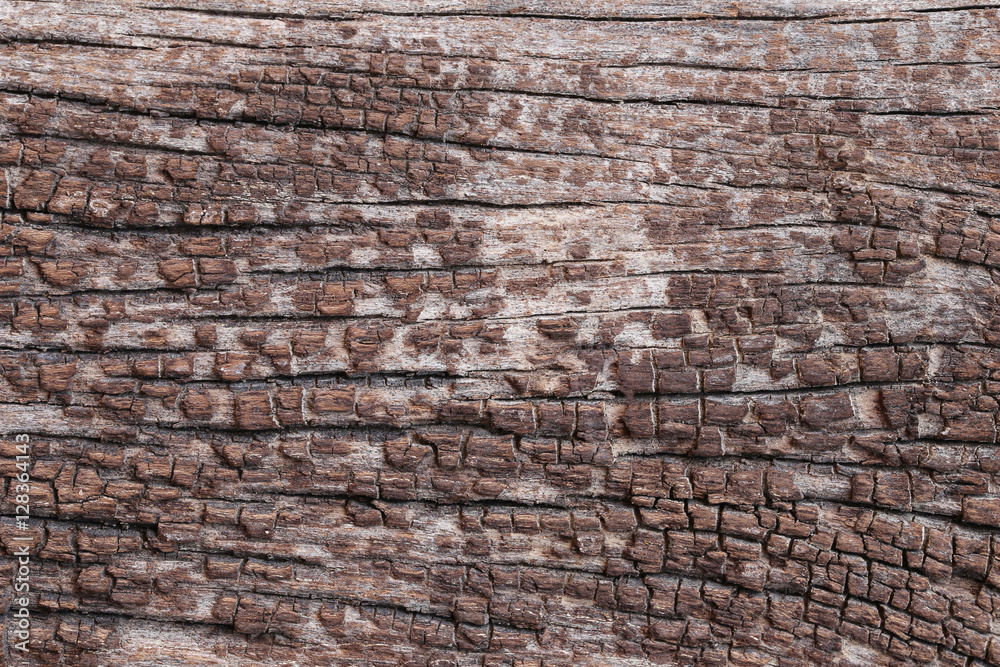 Old wood texture. Old wood texture.