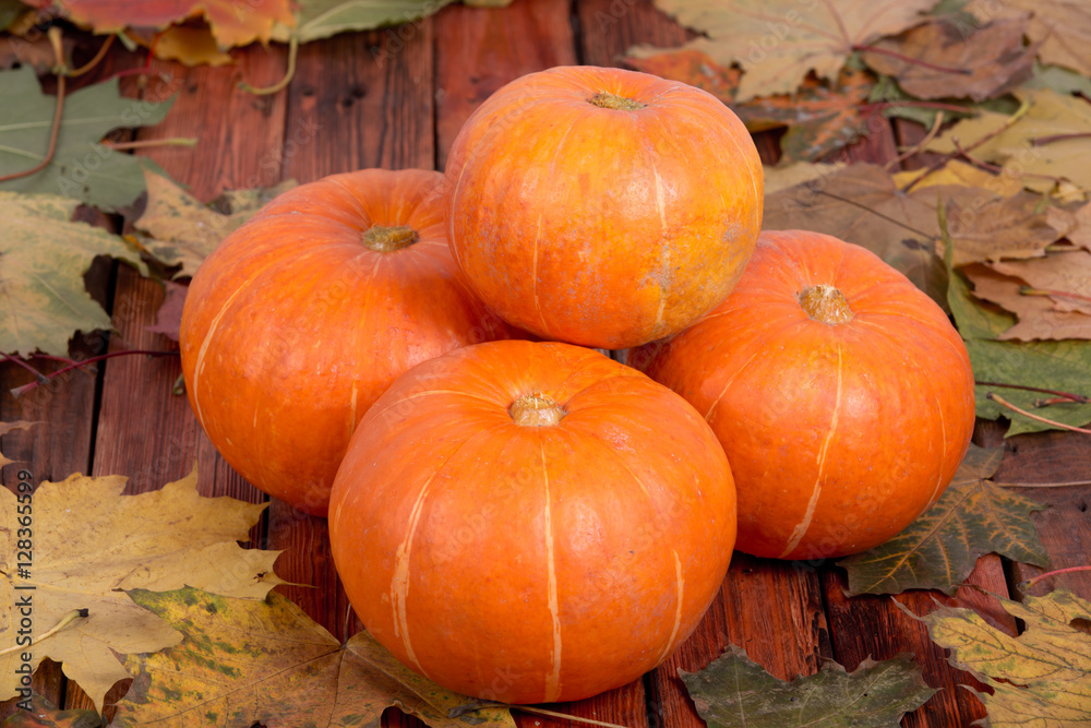 Fototapeta premium Orange pumpkins on a wooden table