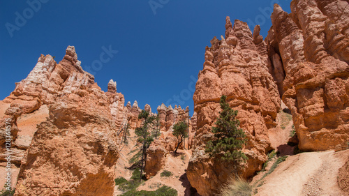 Bryce canyon National Park photo