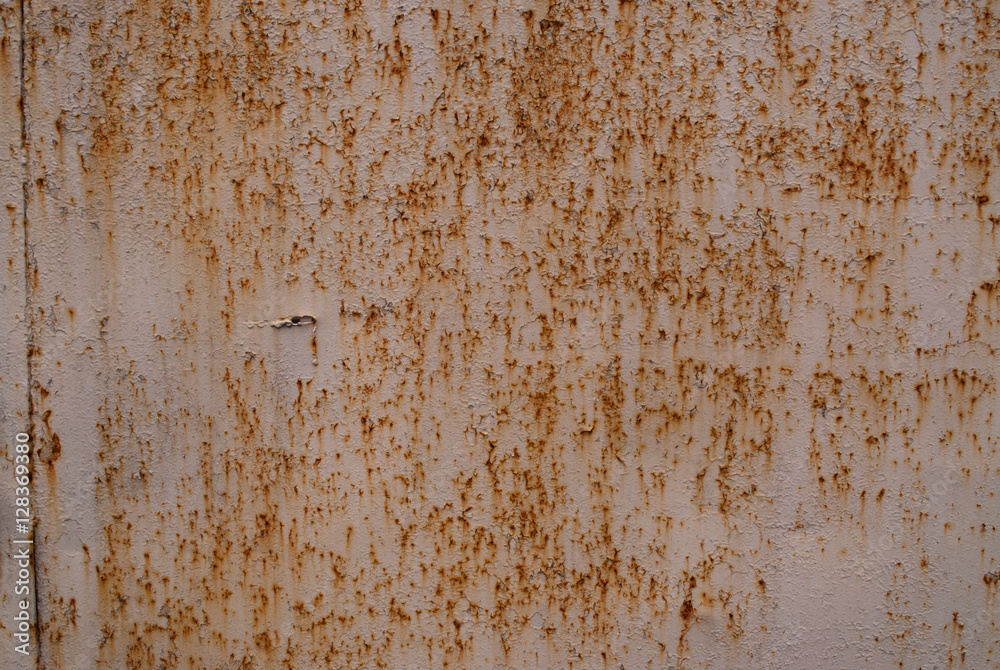 Rusty metal door