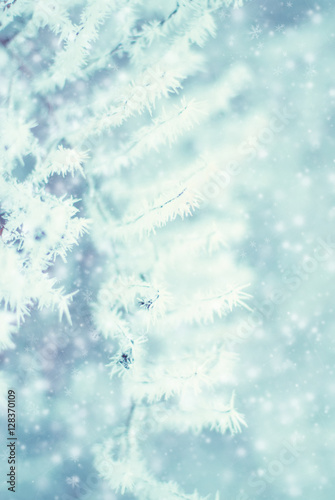Winter Abstract Background - Frosty Snowy White Background with Bokeh and Snowflakes © Melashacat