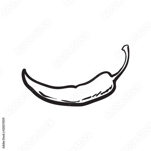 Hand drawn red hot chili pepper, black and white sketch style vector illustration isolated on white background. Chili pepper, spice, traditional ingredient of Mexican cuisine