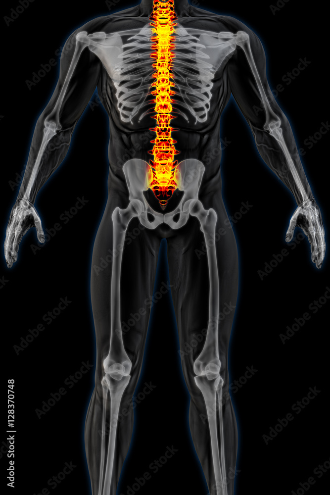 man's body under X-rays. spine bones are highlighted in red. 3D illustration.
