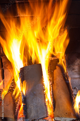 Burning firewood in the fireplace close up