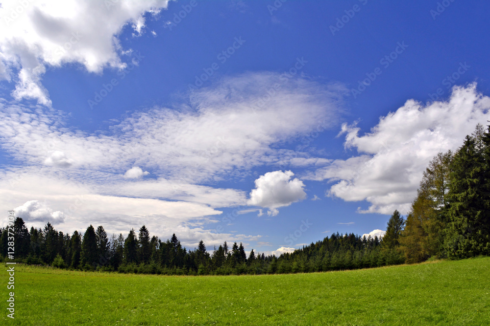 Green grassy hill with clouds in sky