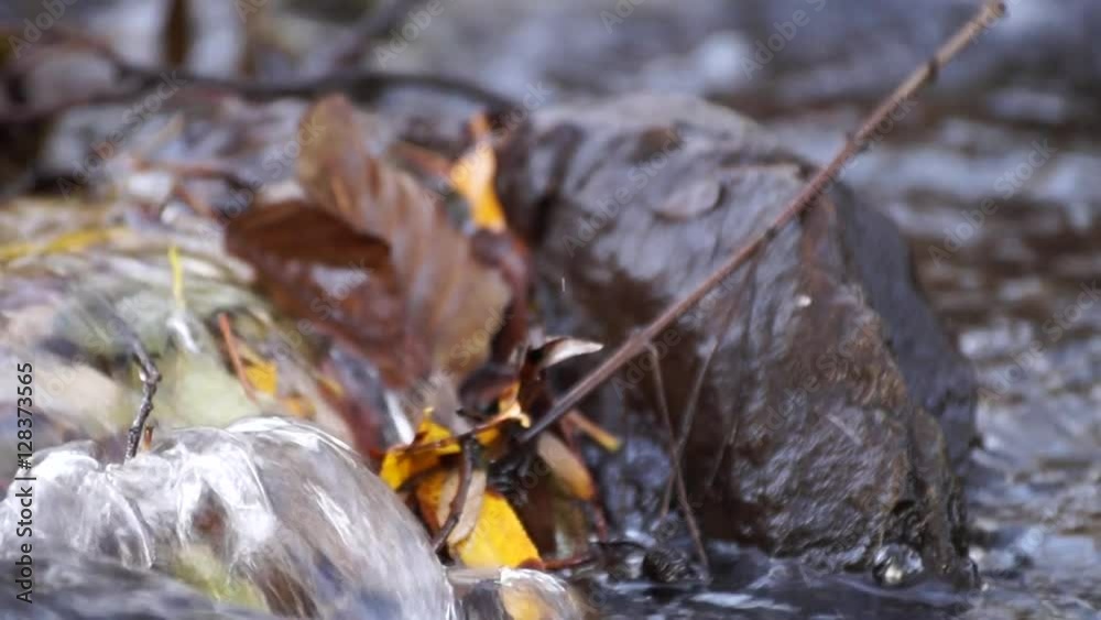 Entspannendes Bachplätschern und Vogelgezwitscher Entspannendes Bachplätschern und Vogelgezwitscher