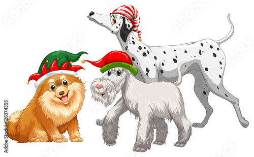 Christmas theme with three dogs in party hat