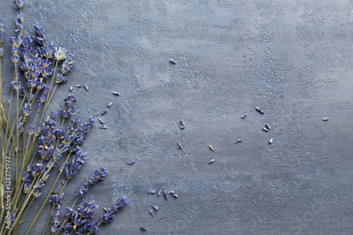 Fototapeta Naklejka Na Ścianę i Meble -  Bunch of lavender flowers on grey background