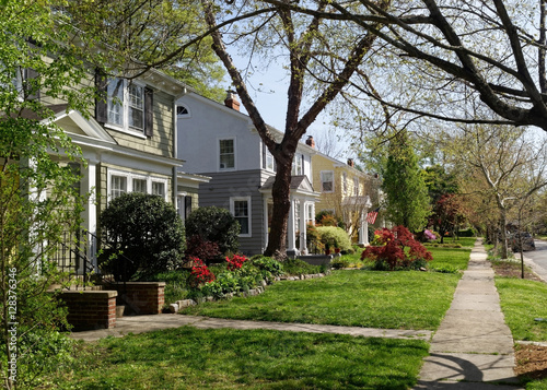 Early spring neighborhood in Richmond, Virginia-homes, trees, plants, flowers, and sidewalk. Horizontal.