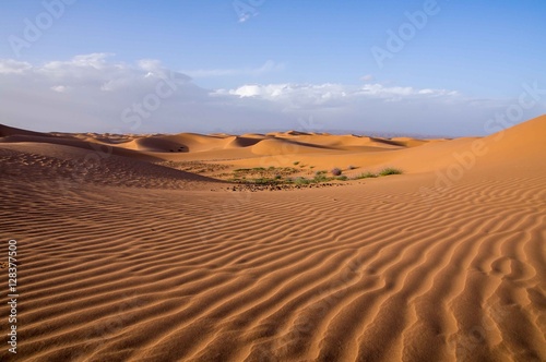 Beautiful sand dunes in the Sahara Desert  Morocco